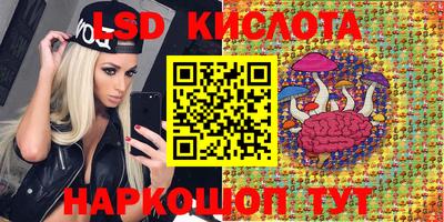шишки Аргун