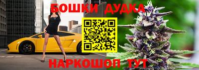 шишки Аргун