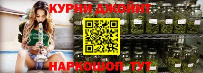 шишки Аргун