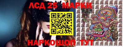 шишки Аргун