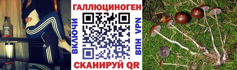 kraken сайт  Белово  Галлюциногенные грибы Magic Shrooms 