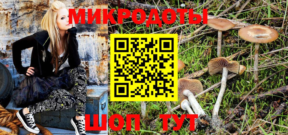 Галлюциногенные грибы Psilocybine cubensis Белово