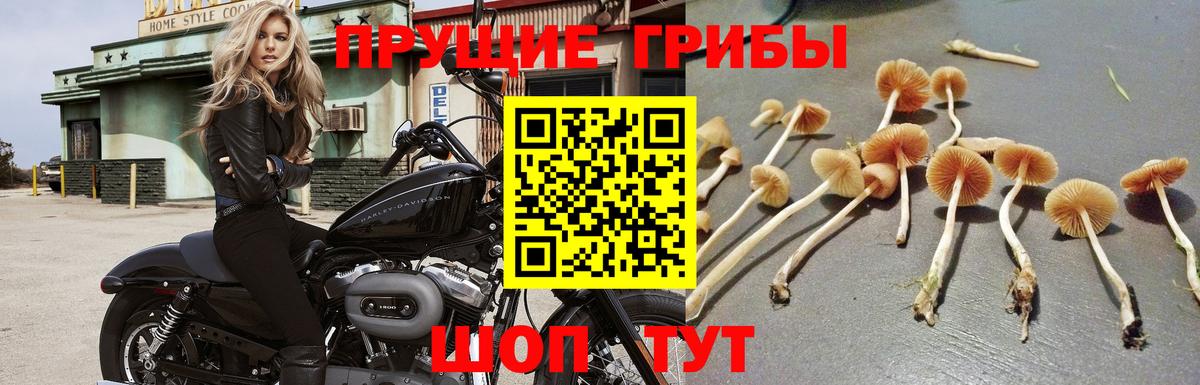 Псилоцибиновые грибы Magic Shrooms  Вход с VPN  Белово 